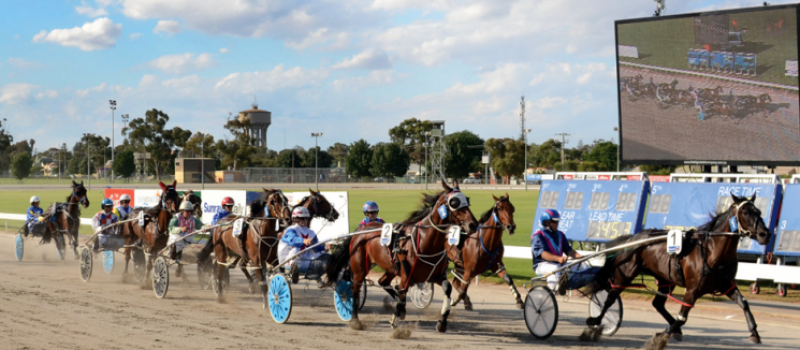 mildura_harness_club_track